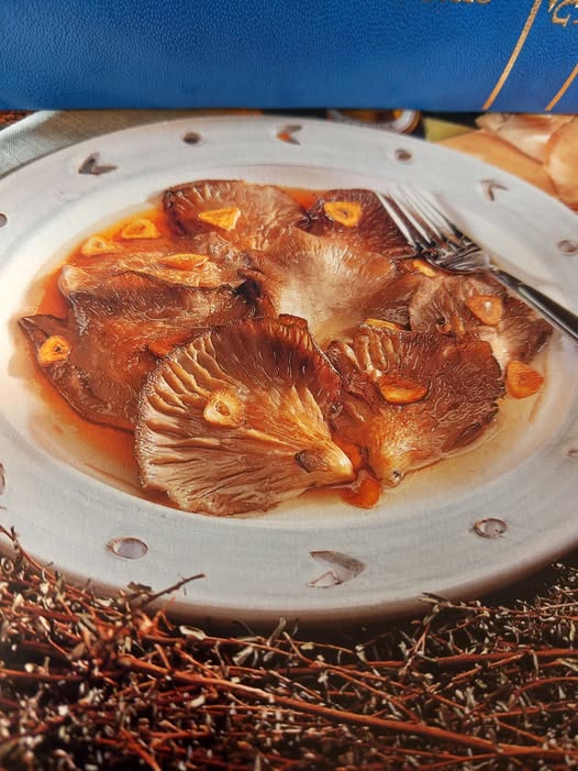 LES HISTORIES DE FIDALGO-AÑO NUEVO , VIDA NUEVA…Y UNAS SETAS AL VINO.