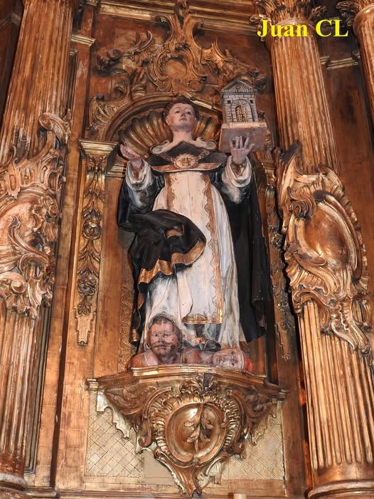 SALUDO FUENTEPIÑELANO 4191-SANTO TOMÁS DE AQUINO