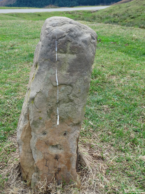 «MUÑÓN» DE ESPINES DE FOZ. UN MOJÓN CON HISTORIA.