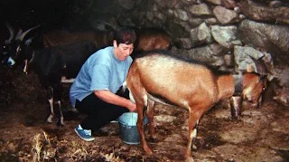 AGUA DE ENERO, LLENA EL CUBO DEL VAQUERO Y VACÍA EL DEL CABRERO.