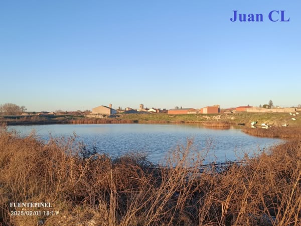 SALUDO FUENTEPIÑELANO 4201-DÍA MUNDIA DE LOS HUMEDALES