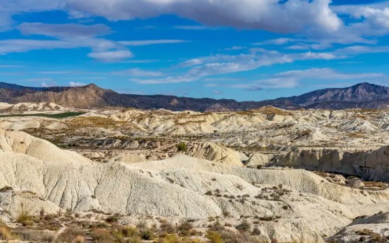 EXHULTANTES  TIERRAS DE ABANILLA (PRIMERA PARTE)