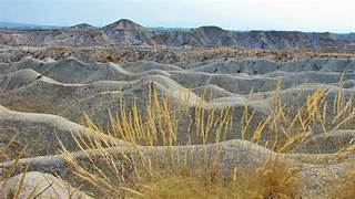 EXHULTANTES TIERRAS DE ABANILLA. PARTE FINAL