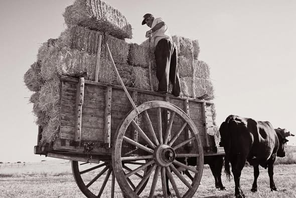 PADRÓN DE OFICIOS PERDIDOS.