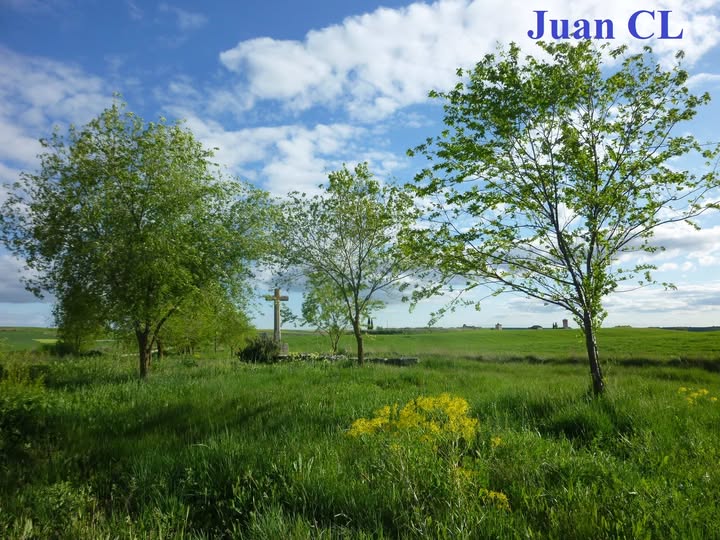 SALUDO FUENTEPIÑELANO 4314- PROCESIONES POR EL CAMPO