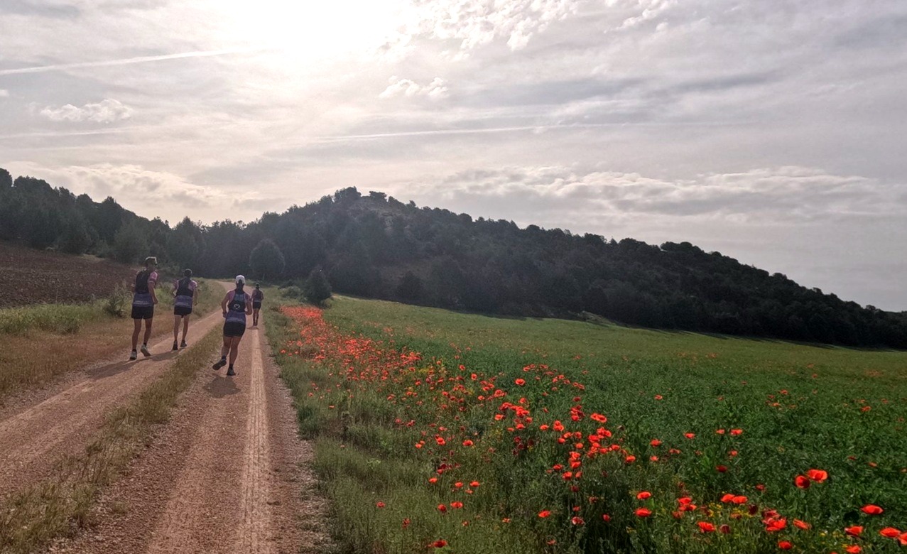 SEGUNDO AÑO DEL GRUPO PICHÓN TRAIL PROJECT