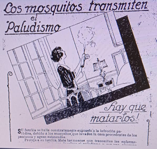 MOSQUITOS