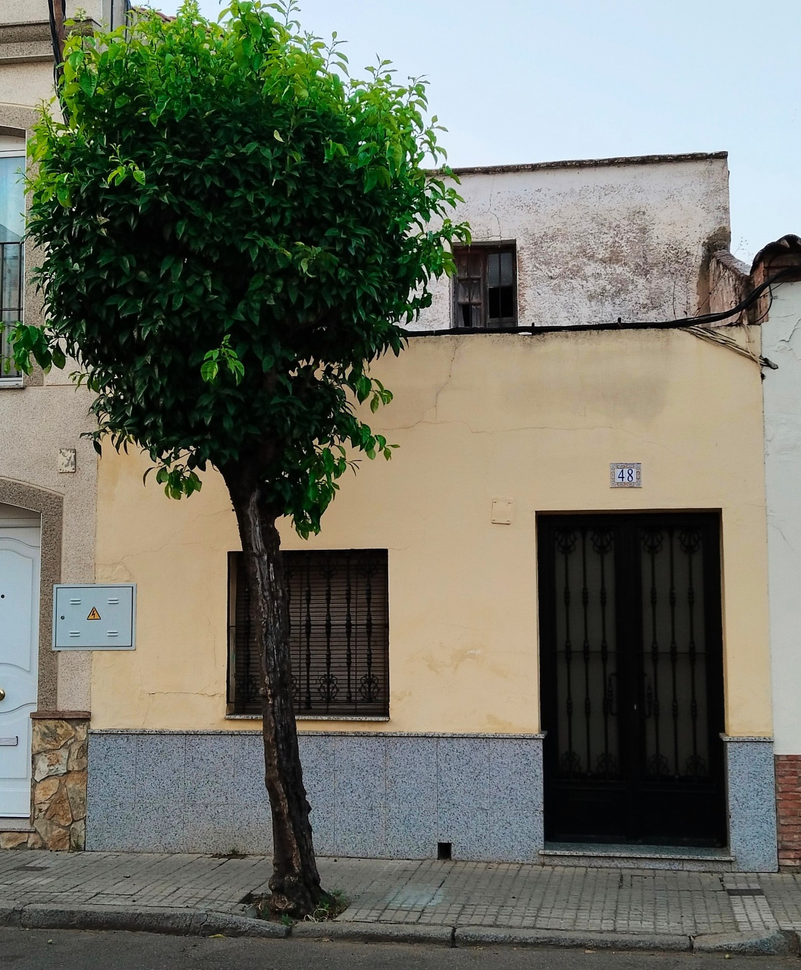 RECUERDOS DE LA CALLE ALAMEDA, HOY REINA MARÍA CRISTINA.