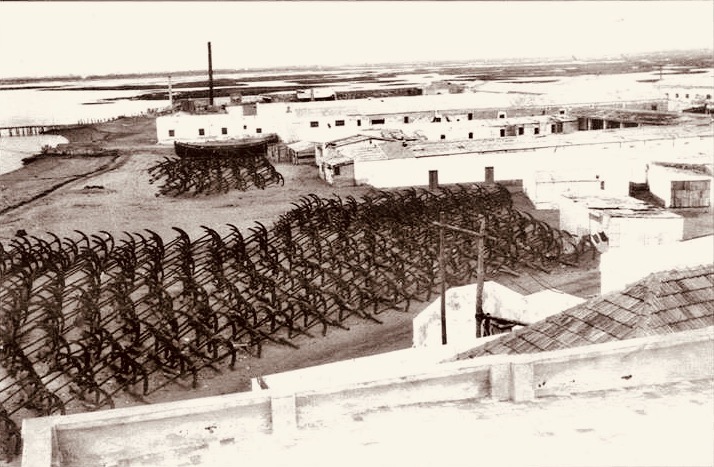 LA PESCA DEL ATUN FUE UNA INDUSTRIA PRODUCTIVA