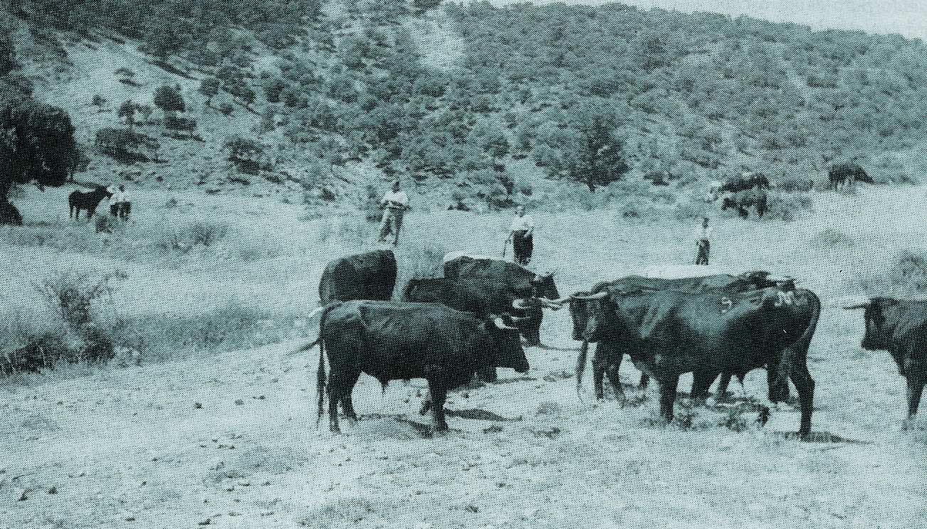 TAL DÍA COMO HOY, PERO DE 1932