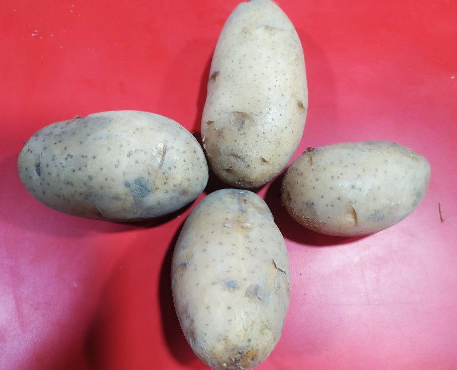 PATATAS A DIEZ EUROS KILO?