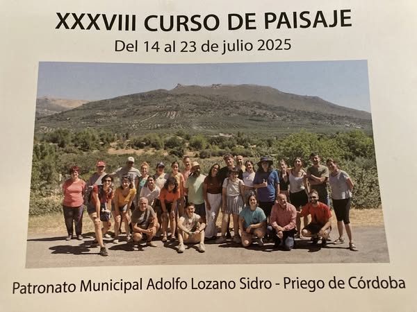 PAISAJE… Y PENSAMIENTO LATERAL.