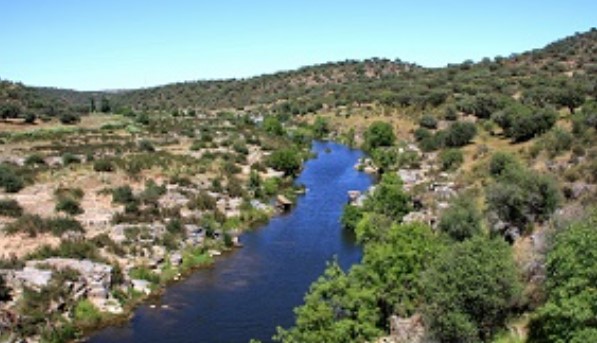 PRESENCIA GENERALIZADA DE MICROPLÁSTICOS EN LOS RÍOS DE EXTREMADURA