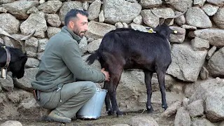 LECHE PARA LOS ENFERMOS