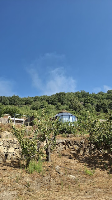 COMO SER PREGONERO DE LAS FIESTAS CON FUEGO