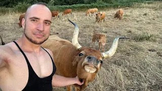 LOS GANADEROS EN VERANO