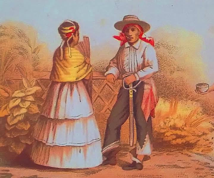 ¿ LO SABÍAN ? : EL PALIACATE