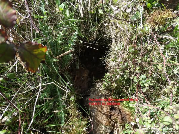 TOPÓNIMOS DE LA SIERRA L´ARAMO (RIOSA).