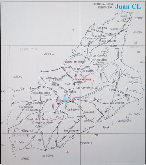 SALUDO FUENTEPIÑELANO 4390-SAN MAMÉS