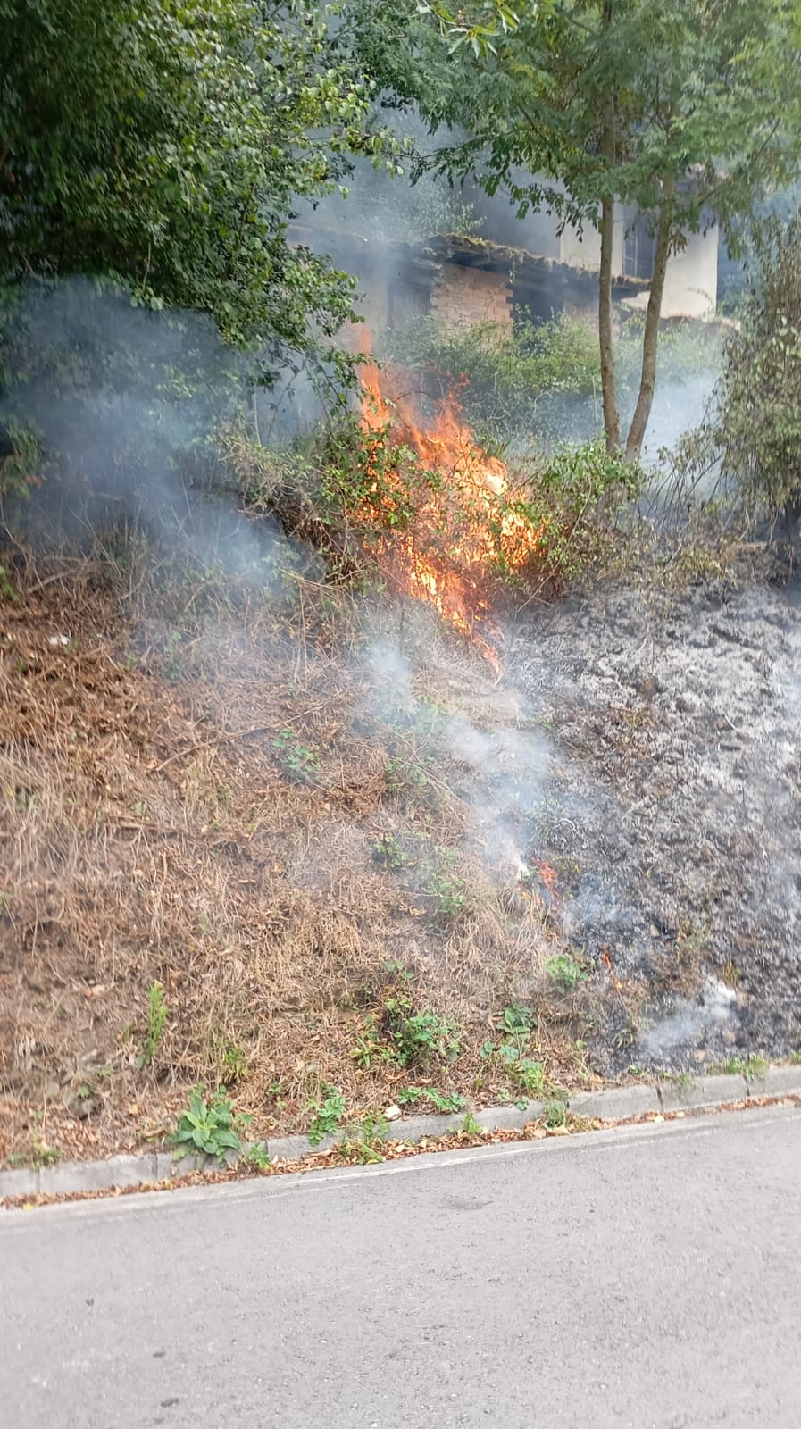 INCENDIO EN ENVERNAES (RIOSA)