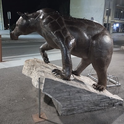 EL OSO EN LA VALL D’ARÁN A MEDIADOS DEL SIGLO XIX