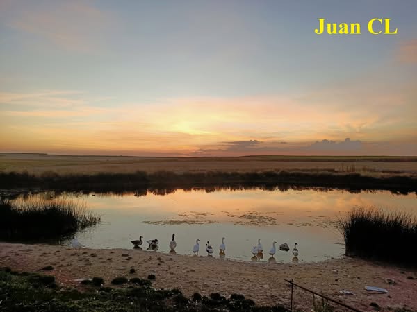 SALUDO FUENTEPIÑELANO 4419. LLEGA A SU FIN EL VERANO