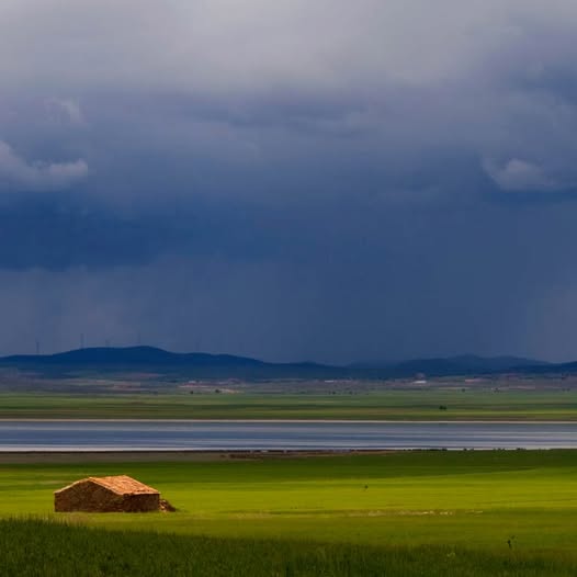 LAGUNAS SALADAS DE GALLOCANTA