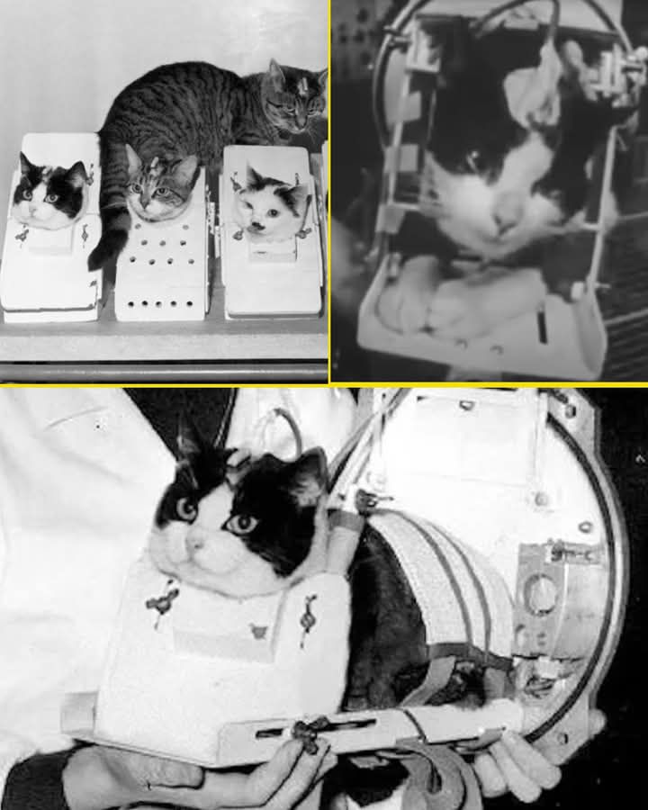 CRÓNICA DE ZACATECAS: HISTORIAS QUE NO DEBEN OLVIDARSE…