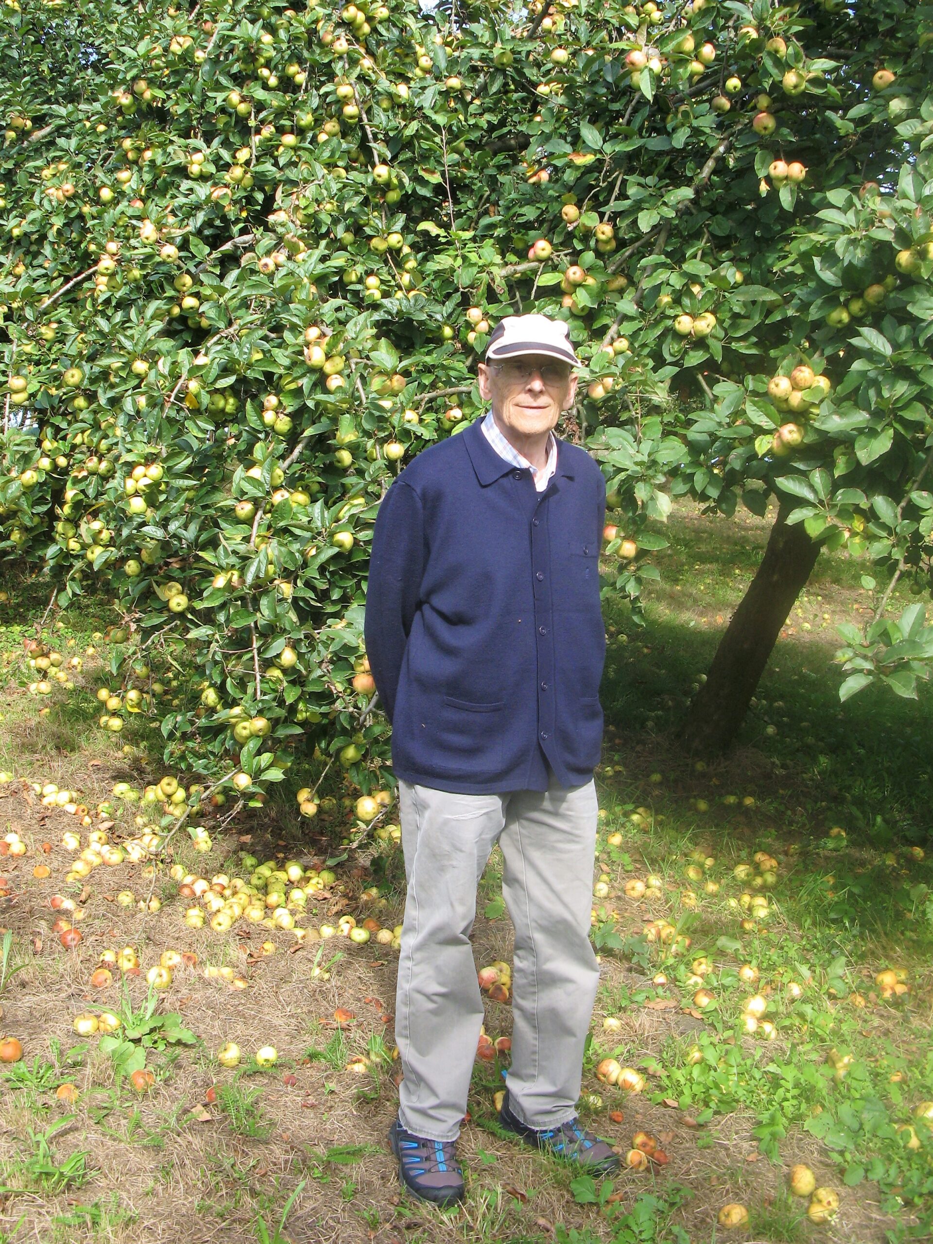 ESTAMPAS NAVETAS, PEPE EL DE TRESALI.