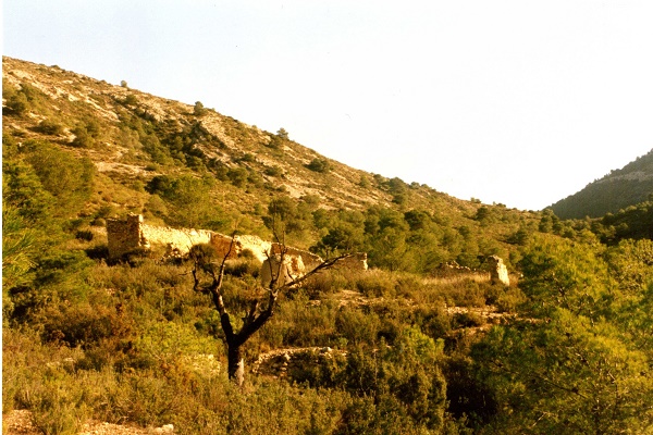 UN ROBO DE ESPARTO EN LA MAJADA HONDA EN 1876