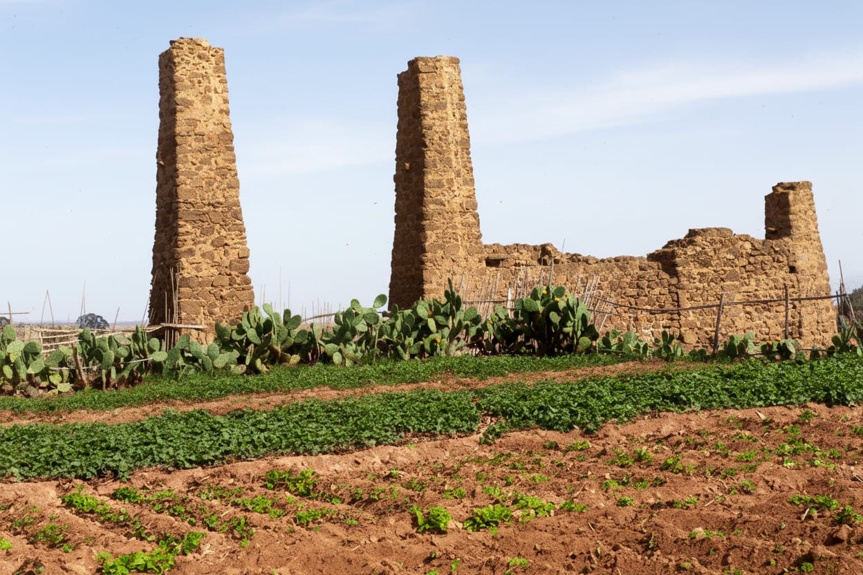 LOS PICACHOS: EL CORAZÓN DE PIEDRA QUE TELDE NO PUEDE PERMITIRSE OLVIDAR