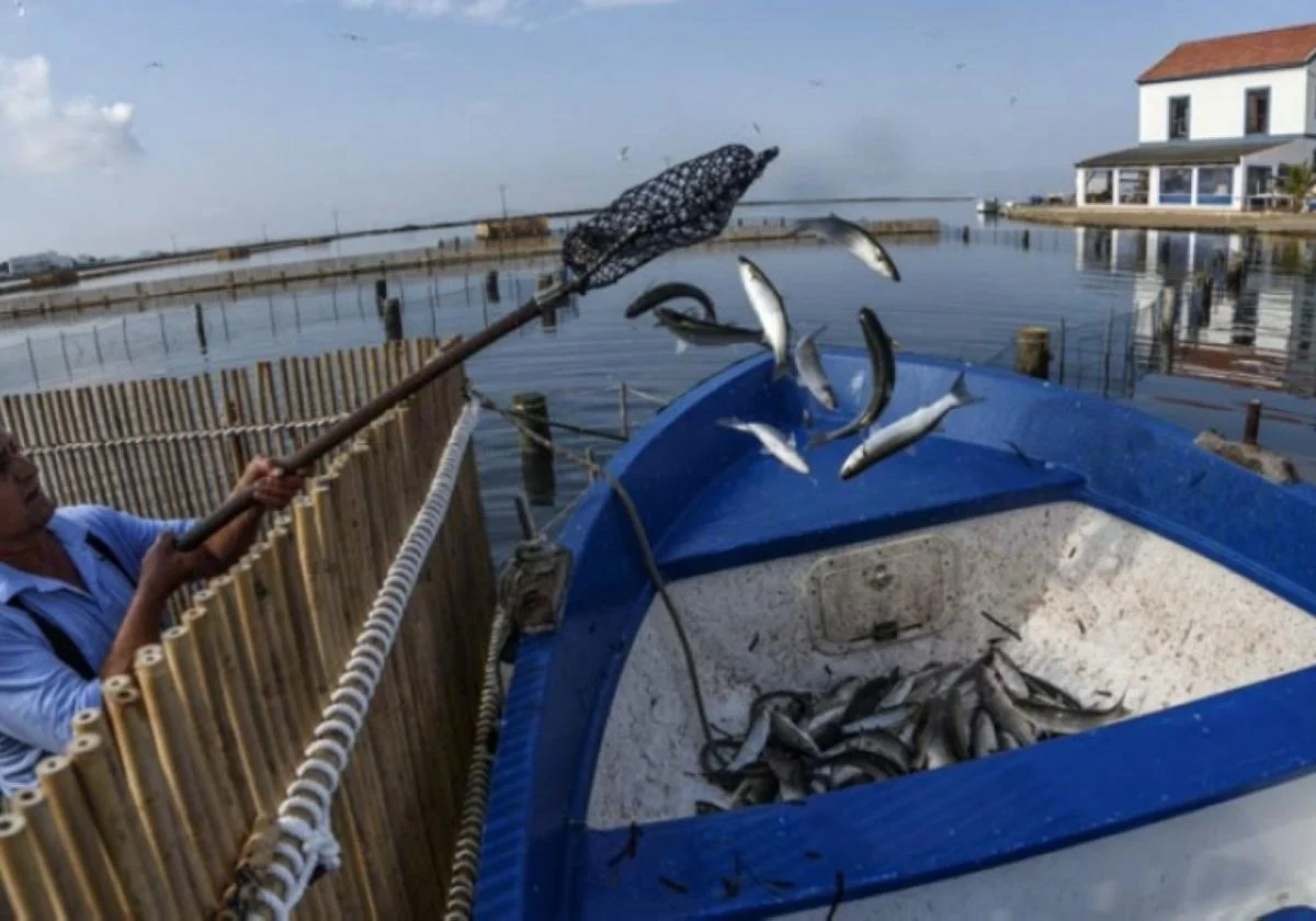FOTOHISTORIA DE CARTAGENA: LAS ENCAÑIZADAS, PATRIMONIO VIVO FRENTE A LA AGONÍA DEL MAR MENOR