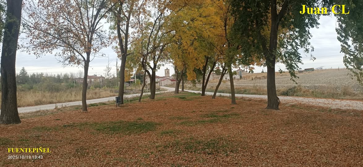 SALUDO FUENTEPIÑELANO 4474-OCTUBRE