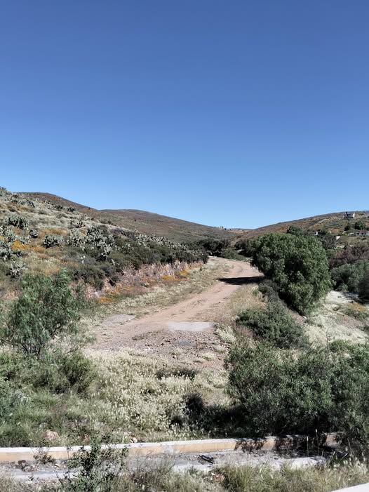 CAMINO OLVIDADO. POR AQUÍ PASÓ UN SANTO.