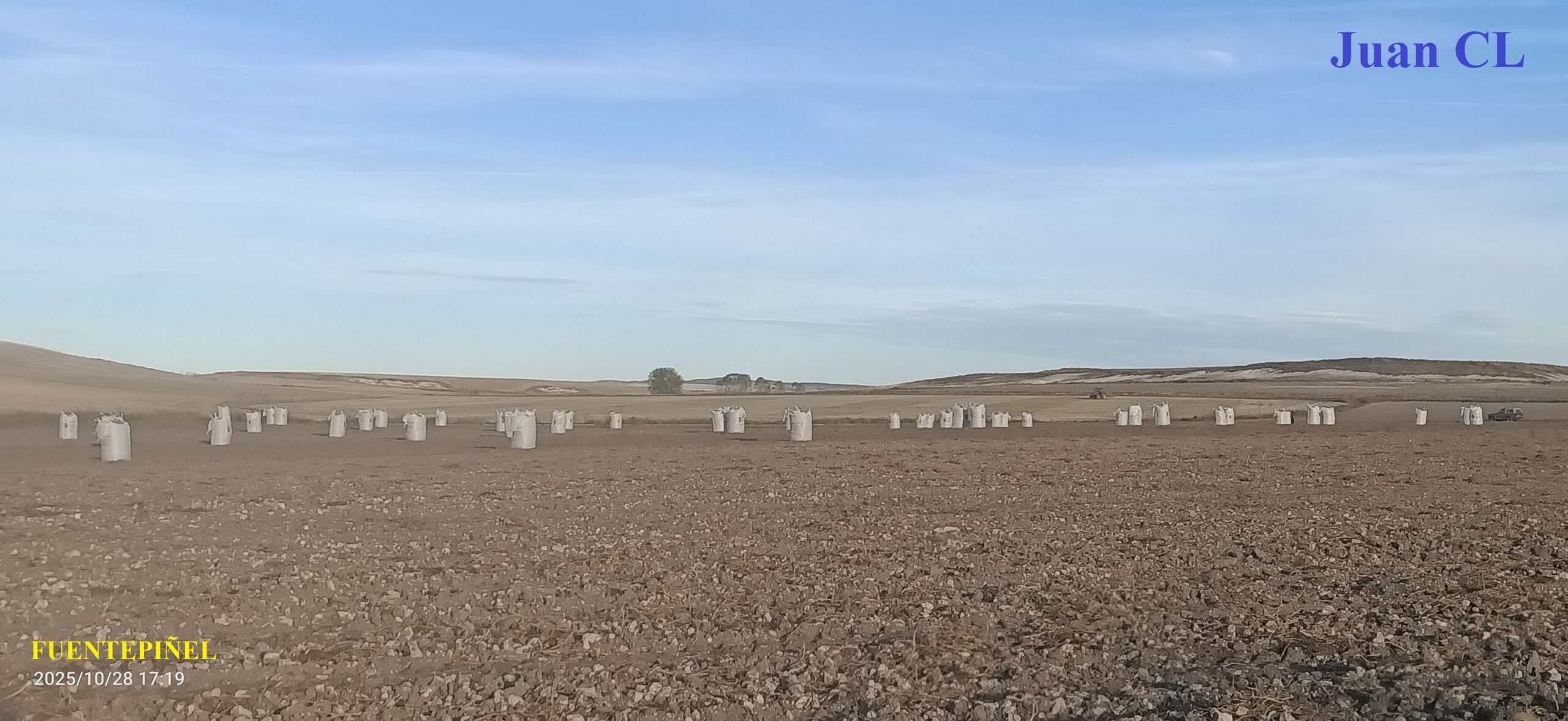 SALUDO FUENTEPIÑELANO 4481. LA FAENAS AGRÍCOLAS