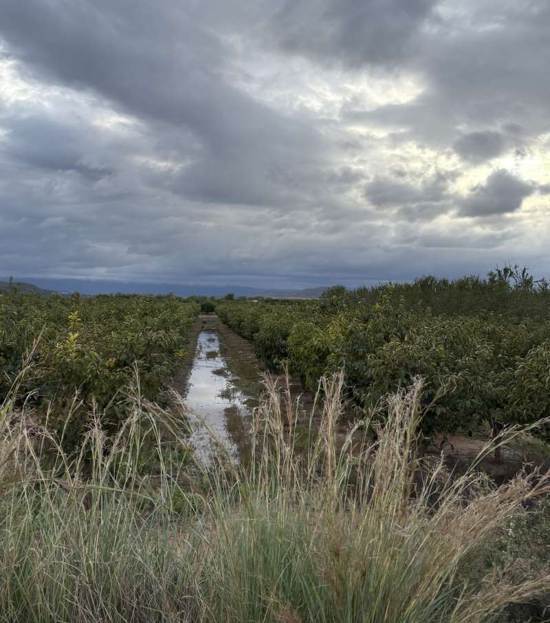 LAS LLUVIAS QUE REGARON EL MES DE OCTUBRE 2025