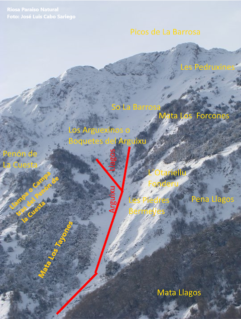 LOS «ARGUIXOS» -ALUDES- DE LA VERTIENTE ORIENTAL RIOSANA DE LA SIERRA L´ARAMO.