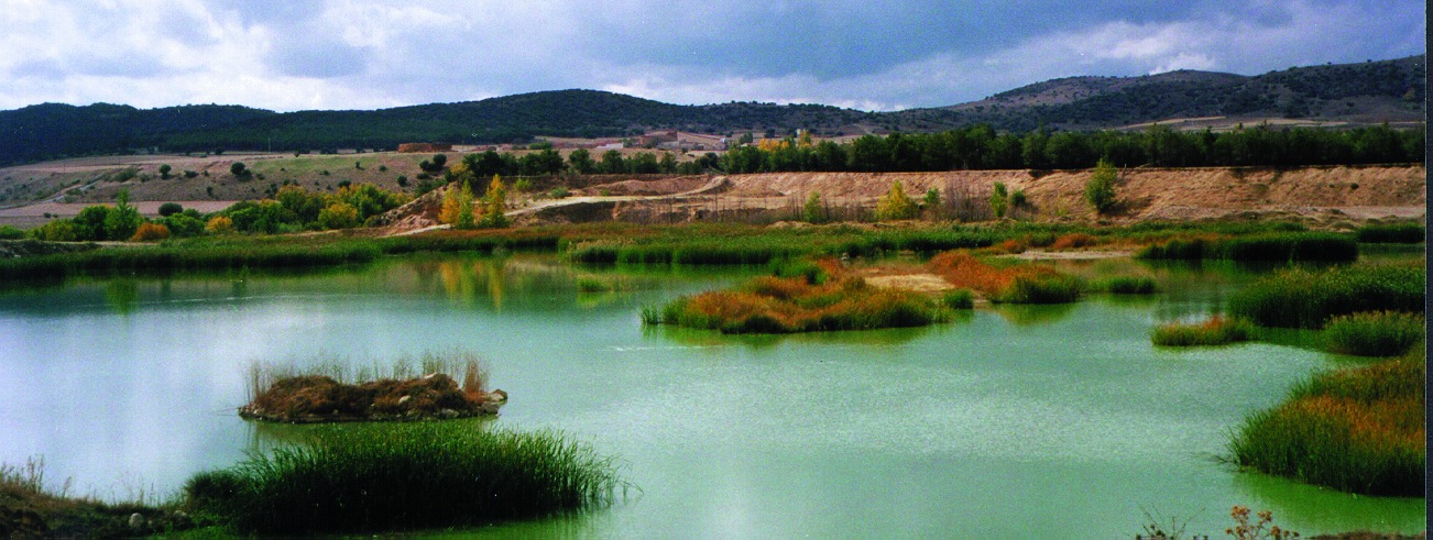 PUEBLOS MÁGICOS DE LA RIBERA DEL ADAJA EN EL ENTORNO DE ÁVILA (3). CIVILIZACIONES Y MONUMENTOS