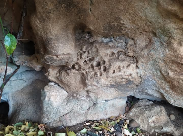 FRANQUISMO Y DEMOCRACIA, NADIE QUIERE A ZAMORA