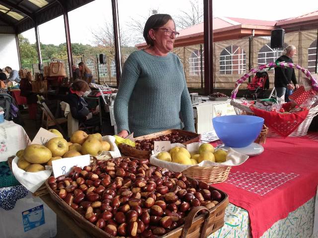 CAMÍN REAL. EL CULTIVO DE CASTAÑAS EN LES REGUERES. XXV ANIVERSARIO DEL CERTAMEN DE LA CASTAÑA VALDUNA