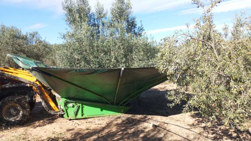 LA LLUVIA NOS DEJA TREINTA Y CUATRO LITROS