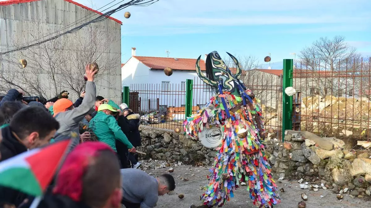 ‘TESOROS DE INVIERNO’