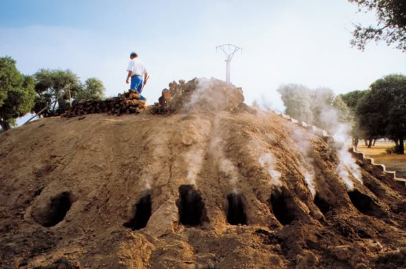 PUEBLOS MÁGICOS DE LA RIBERA DEL ADAJA EN EL ENTORNO DE ÁVILA (9). ANTIGUOS OFICIOS (II).