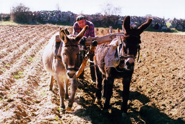 PUEBLOS MÁGICOS DE LA RIBERA DEL ADAJA EN EL ENTORNO DE ÁVILA (X). ANTIGUOS OFICIOS (y III).