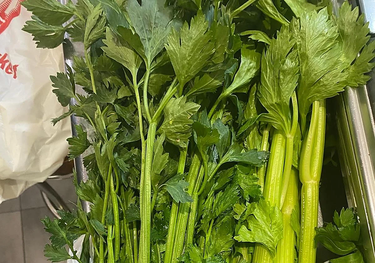 ¿SABE USTED QUE ES APORCAR?