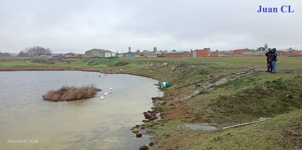 SALUDO FUENTEPIÑELANO 4599. DIA MUNDIAL DE LOS HUMEDALES