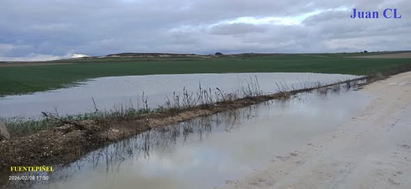 SALUDO FUENTEPIÑELANO 4608. LA BORRASCA MARTA Y LOS HUMEDALES