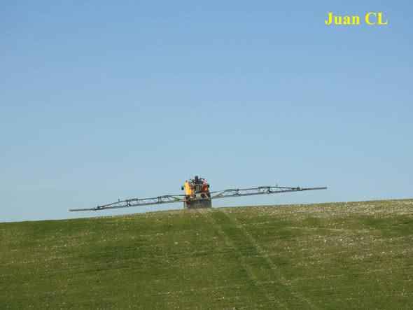 SALUDO FUENTEPIÑELANO 4621.