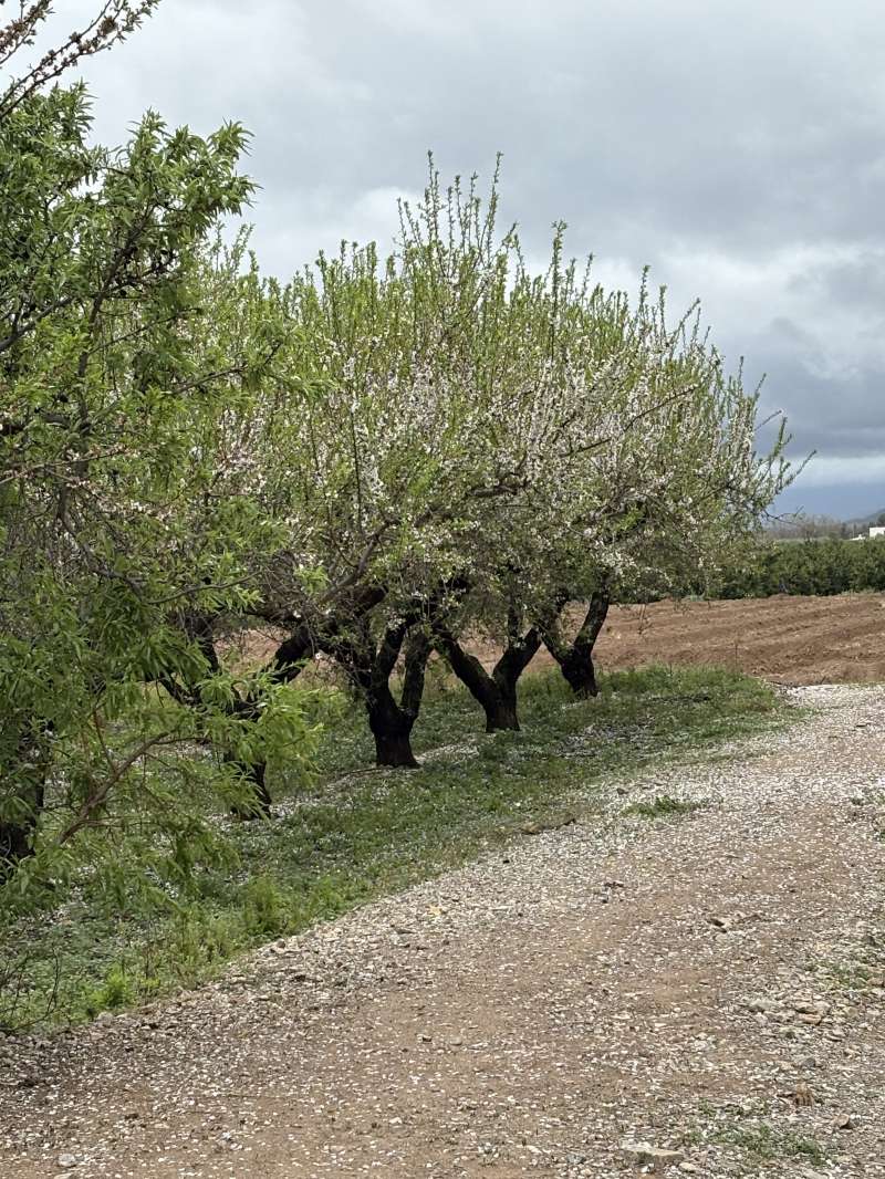 LAS LLUVIAS Y MAL TIEMPO DE ESTE MES DE MARZO