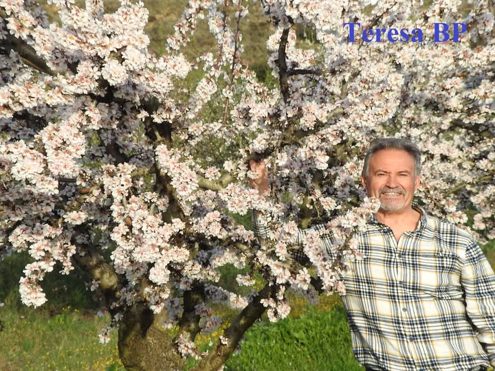 SALUDO FUENTEPIÑELANO 4630. LA FLORACIÓN DEL ALMENDRO
